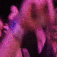 IMG-1587.gif