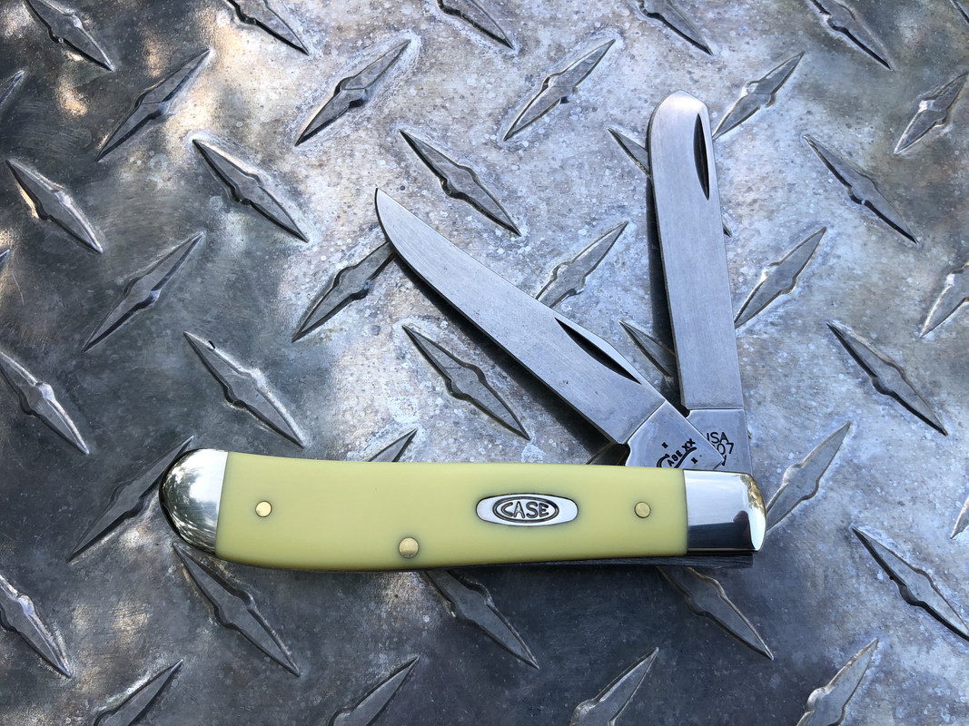 Case-3207-CV-2018.jpg