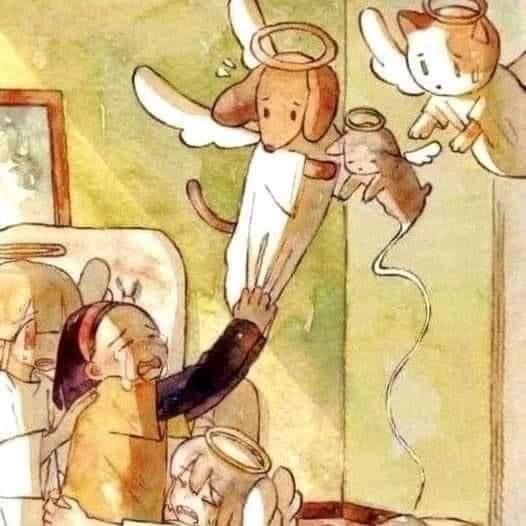 [Image: FFE70-AE9-AE1-E-4041-8-A5-A-78-B4-A8403-C34.jpg]