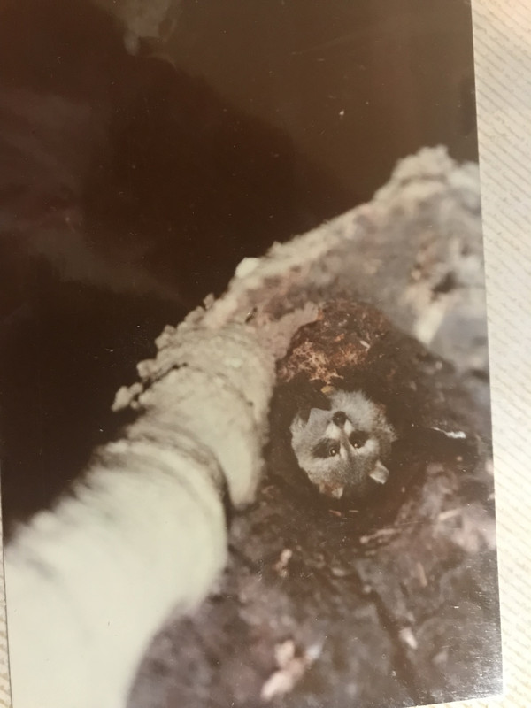 9A38E706-F037-4C59-B09A-136E611DF7B8