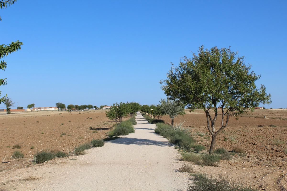 Chinch-n-Colmenar-de-Oreja-01