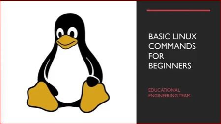 Linux Commands for Beginners 2021 Linux Commands for Beginners 2021
