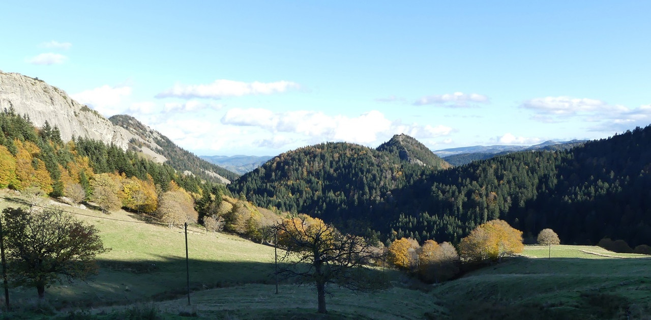 P1090315.jpg
