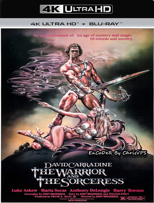Wojownik i Czarodziejka / The Warrior and the Sorceress (1984) MULTI.HDR.2160p.BDRemux.DTS.HD.MA.AC3-ChrisVPS / LEKTOR AI i NAPISY