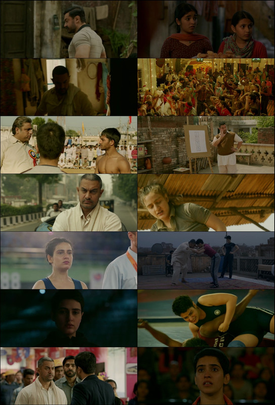 Dangal (2016) 1080p | 720p | 480p BluRay [Hindi (हिन्दी)] DD5.1 ESub
