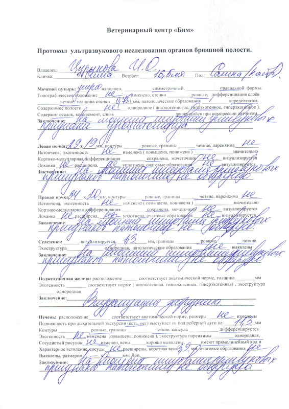 УЗИ_описание_07.02.2021