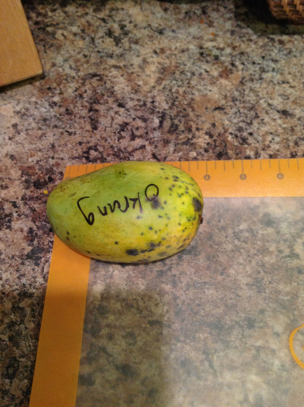 1e33b70a6d4c88d99a3cd0ebec5e1725