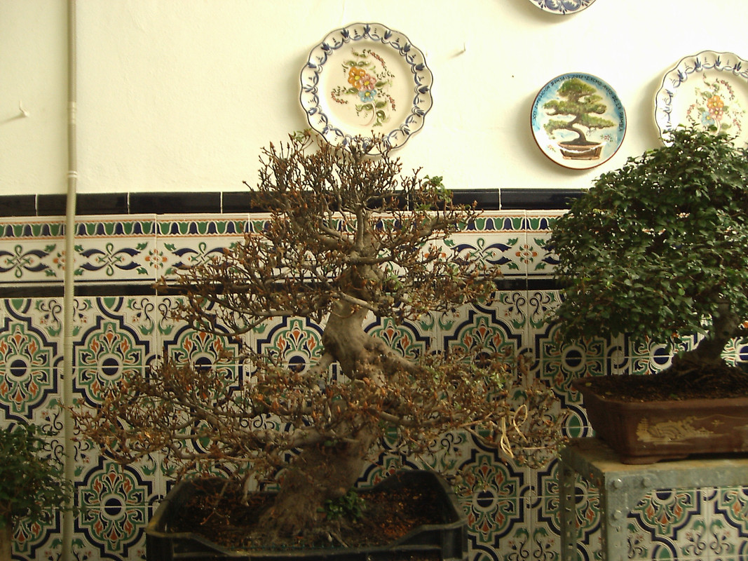 PIC00720