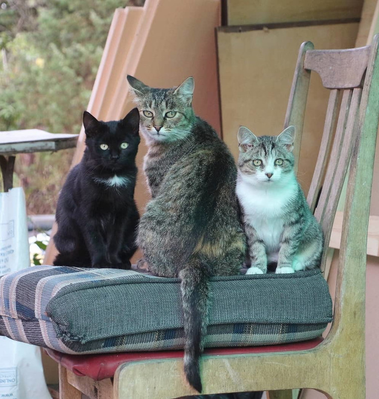 imgonline-com-ua-Resize-JisfjD4AFoAylFM