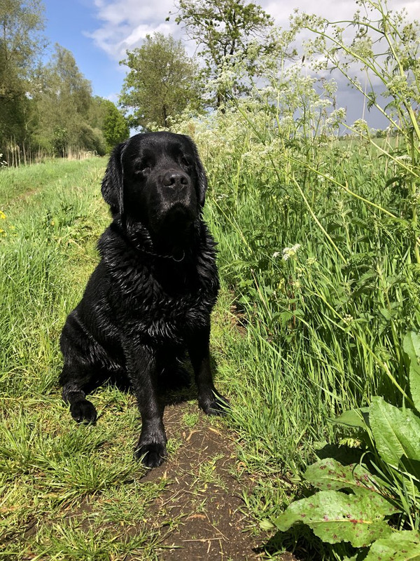 D9876B07-0EF8-4163-96DC-3ED796B6329D