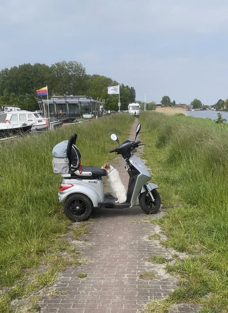 Afbeelding