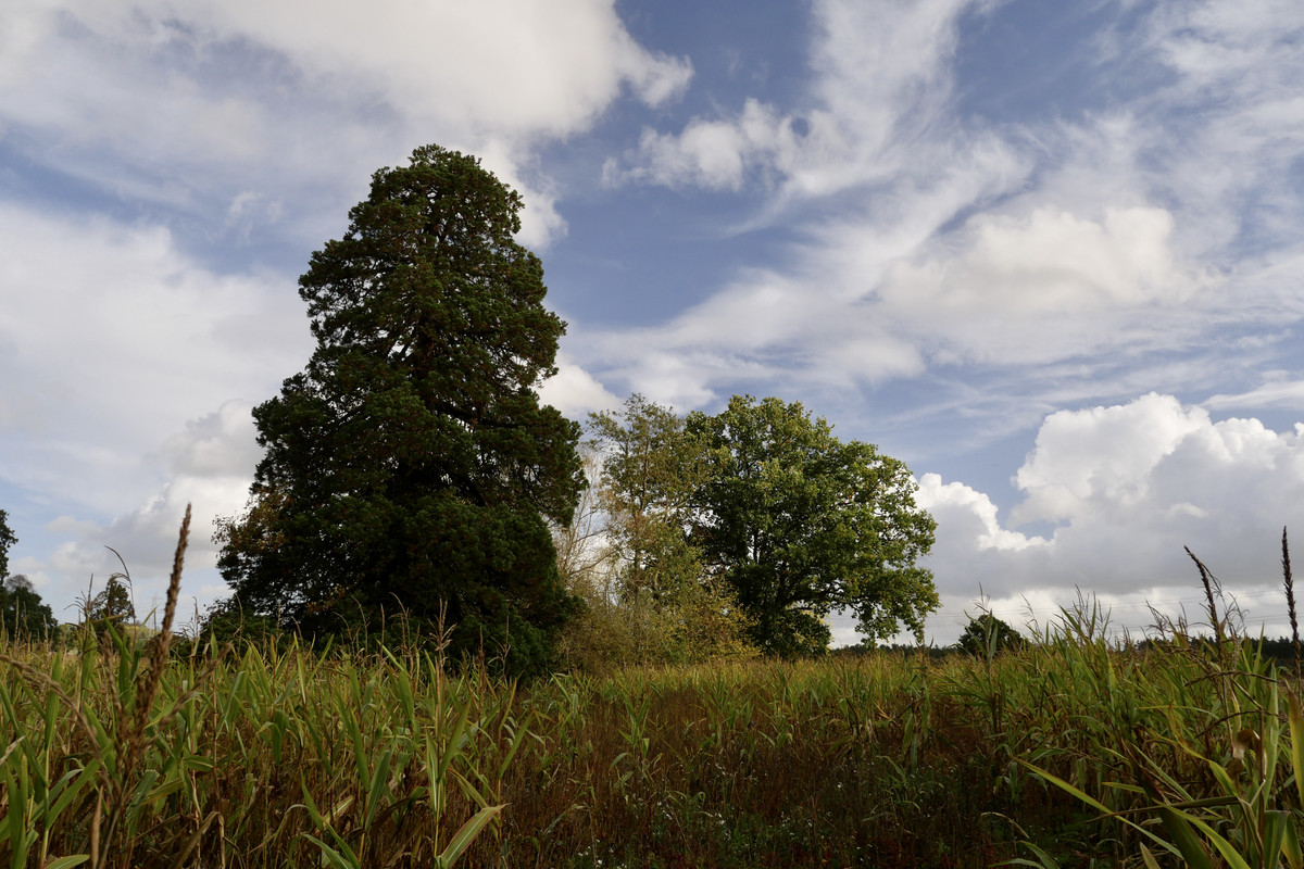 679B7466-13B7-4E09-9ED3-651F2FF0BC72