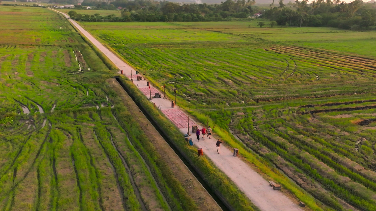 The Mole (US, S07E10) 3