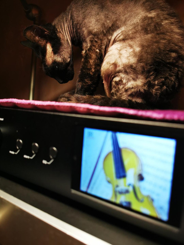 B6775106-A30D-438A-9F05-085AAC642C96