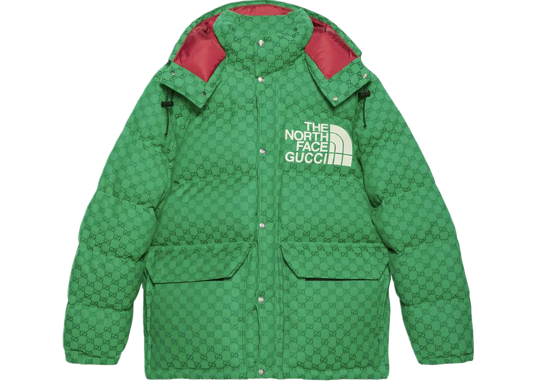 Gucci x The North Face Jacket