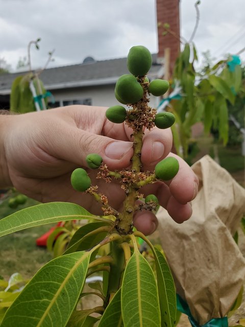 2A37AD10-8765-498B-ABBE-9142F114FFBC