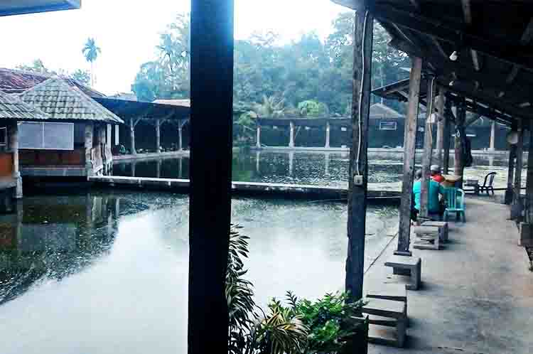 Tirta Mas Pemancingan dan Lesehan - Pemancingan Keluarga Terdekat Area Kediri ada di Tirta Mas Pemancingan dan Lesehan
