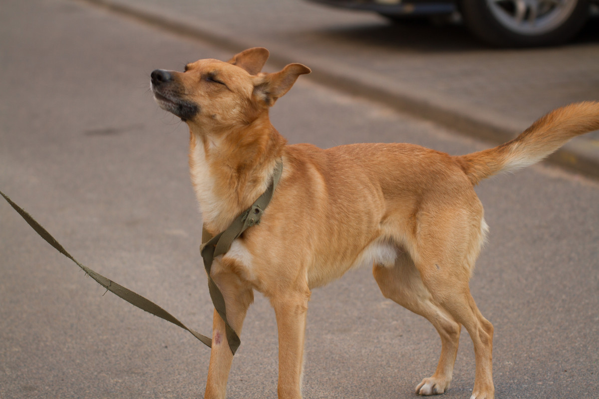 без имени-5404