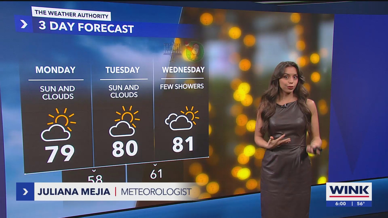 WINK News at 600am_20241223_11001130.ts_snapshot_01.14.690