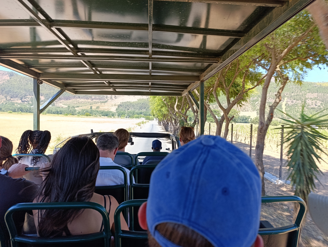 Такая близкая Африка. (ЮАР. 22 дня и 4200 км. Ноябрь-Декабрь)