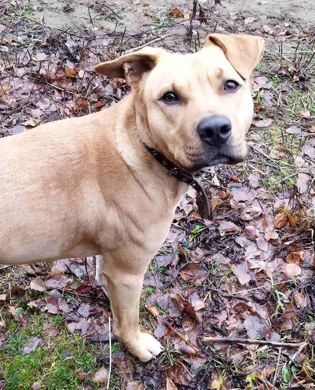 изображение_viber_2022-01-20_12-13-00-594