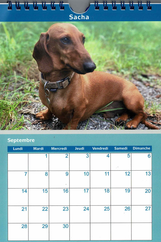 Numérisation_20250826 (6) - Copie