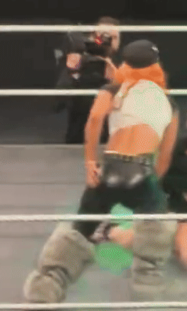 jan28h.gif