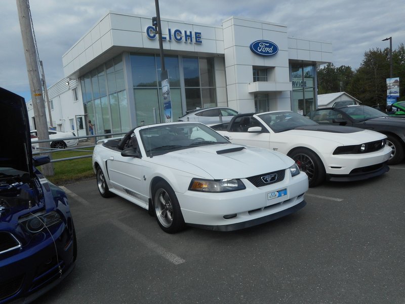 Rendez-Vous Mustang Cliche Auto Ford - 14 août 2022 Cliche2022-08