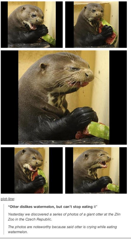 Otter-Watermelon.png