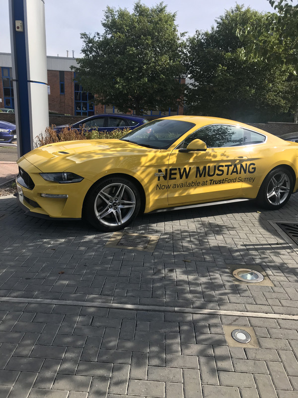 D3127CFA-8B0C-4655-96F3-80DE59EAE590