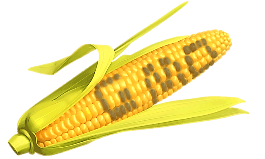 GMO.png