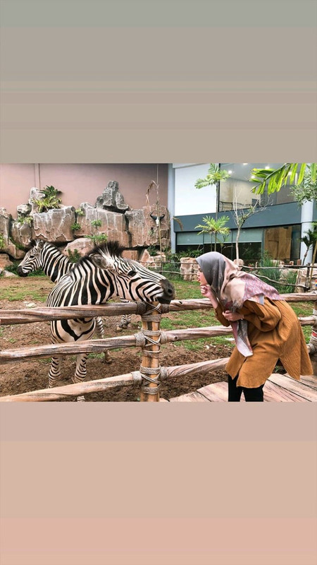Pose Cut Meyriska saat berfoto bersama zebra di Taman Safari.