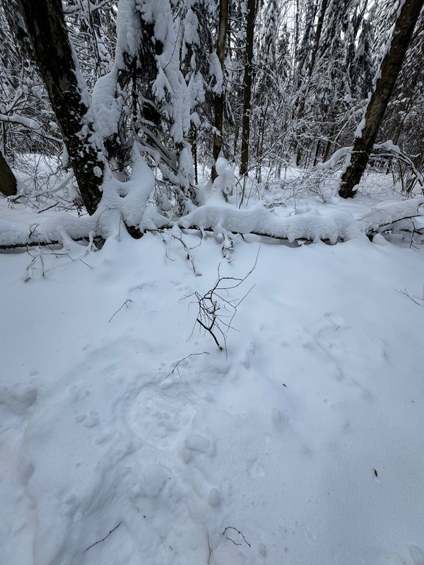 photo 2026 01 16 20 02 39