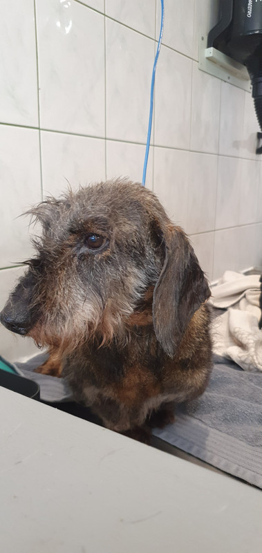 [Image: 20230316-175227.jpg]