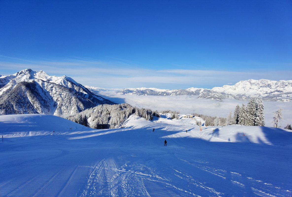 IMG_20220216_085946 - Kopie