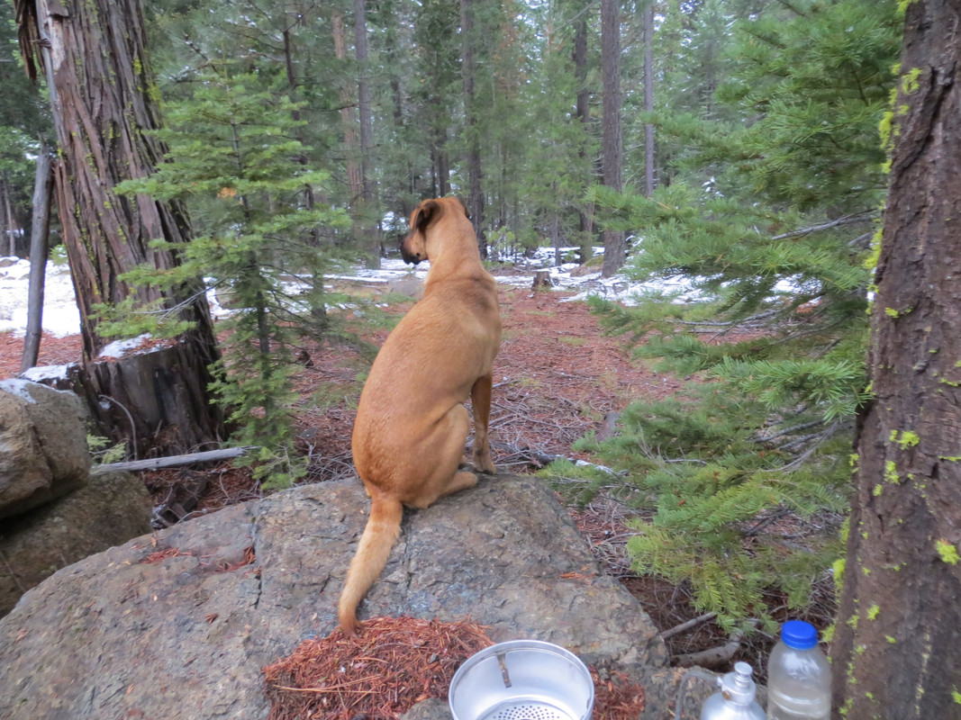 8CFBD896-4518-47AB-B074-74B83B31F4B3