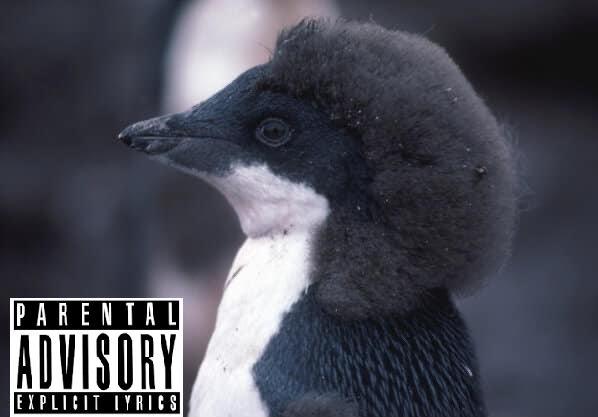 penguin2.jpg