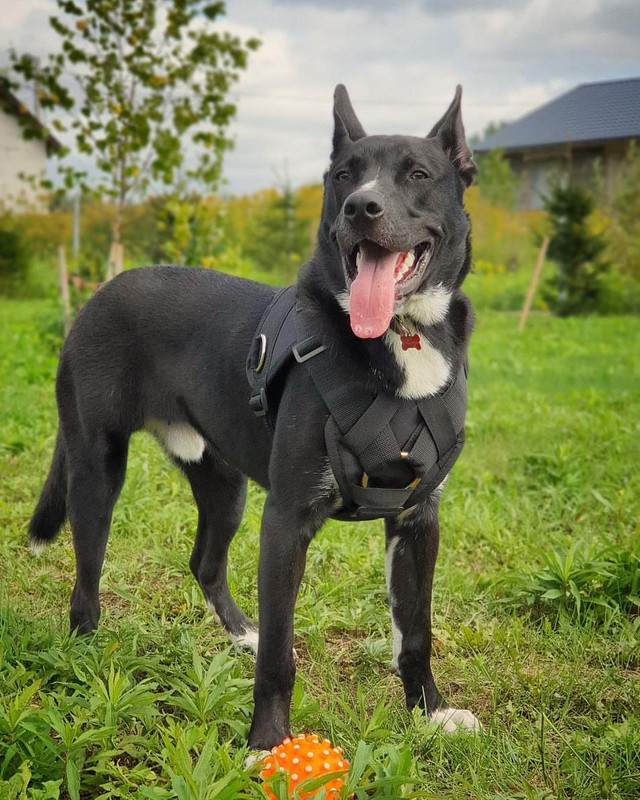 295464F7-2AEE-42D8-8BEA-2DDDE8987963