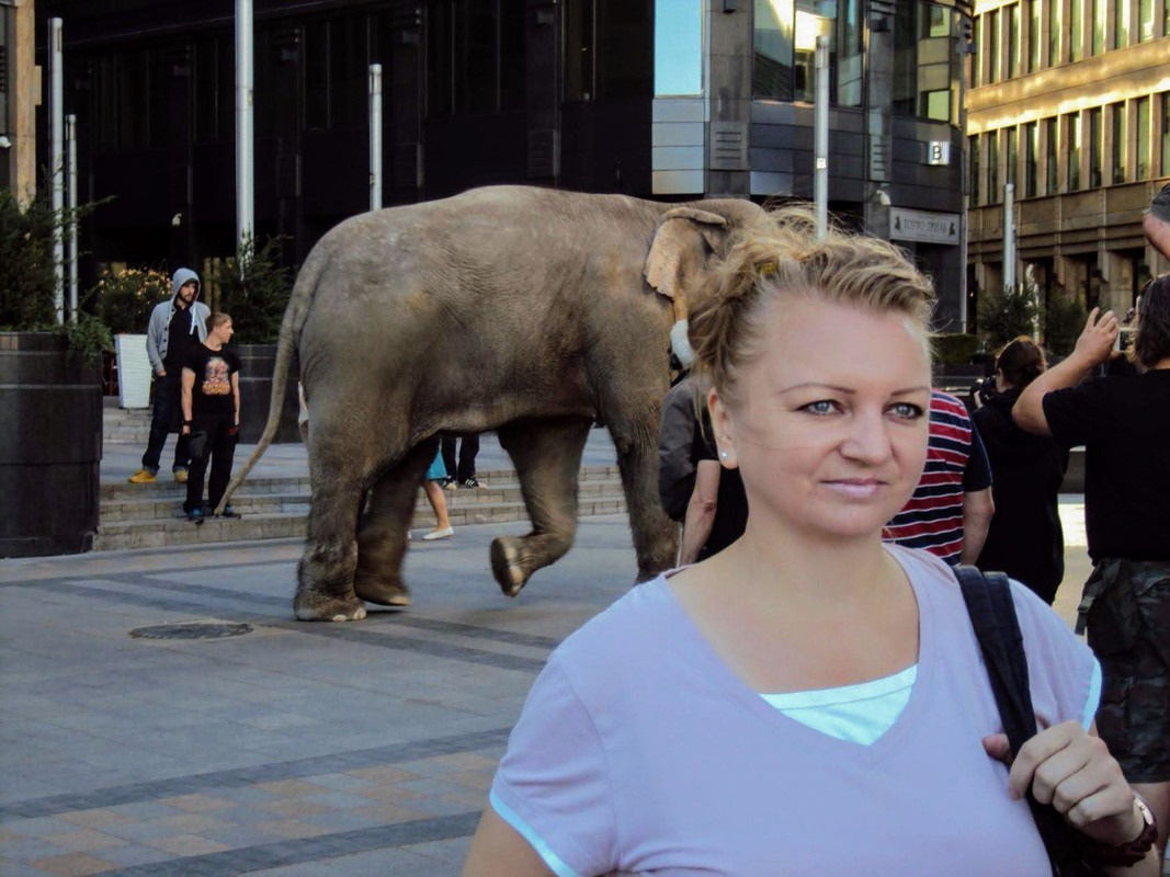 Волшебники