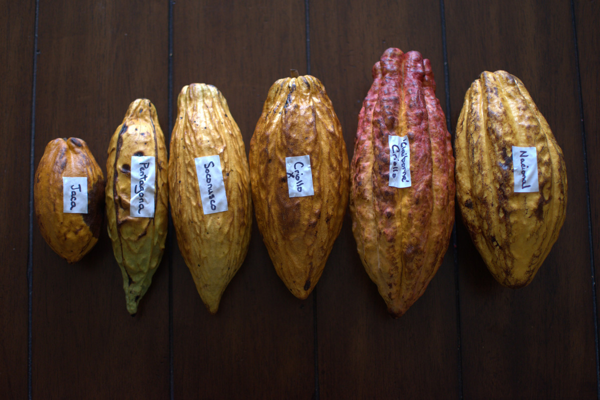 617AF4AB-24BC-4EB2-961B-30541B506BC3