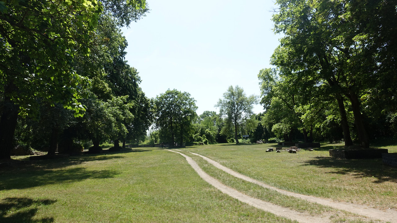 13 31 DSC03354 (Barabasz)