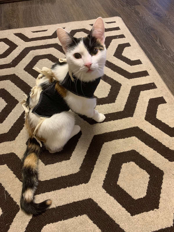 5529CC0D-A669-4812-AF45-713B735112AA