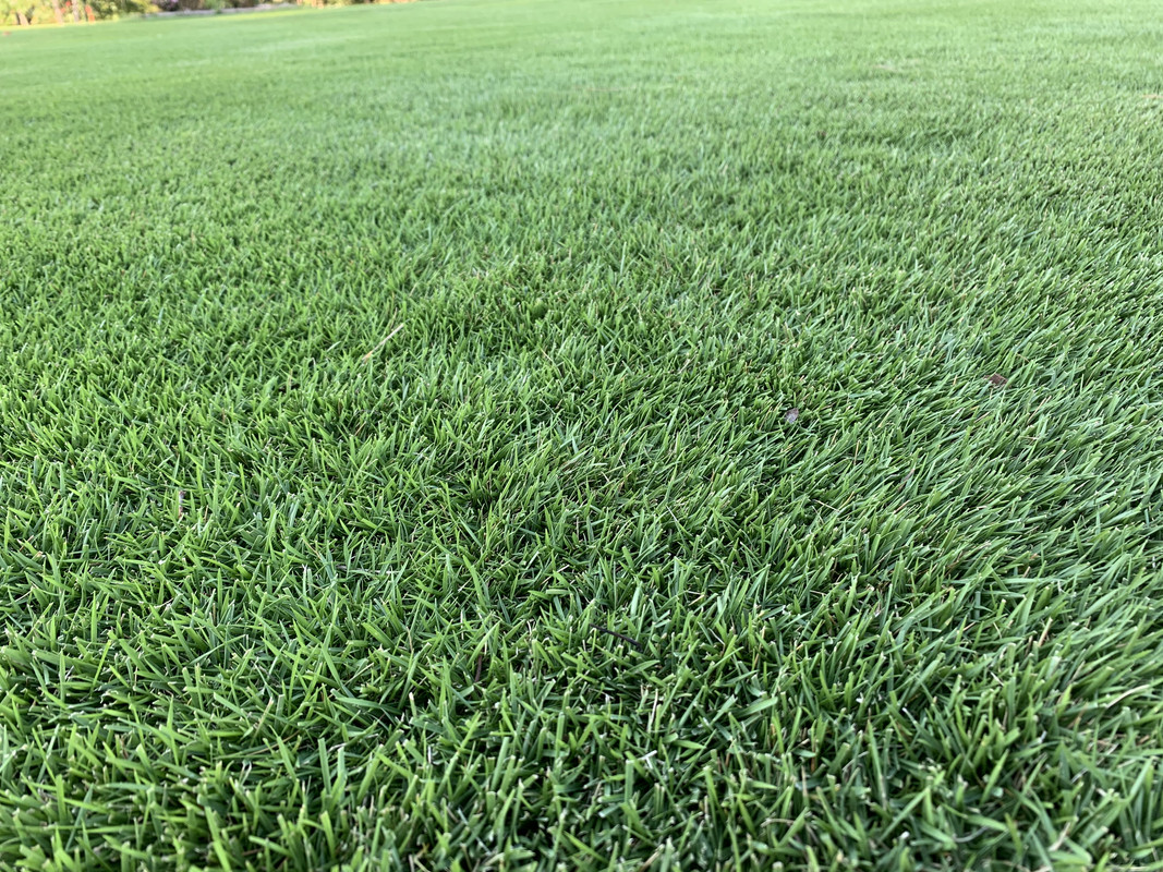 91A33CFE-B995-4754-A5DA-F429CE9EDBAA