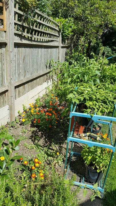 69792477-2361450500611076-78299015386916