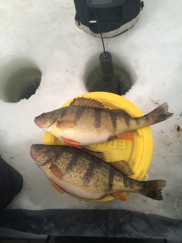 0E6DE764-CE33-47E1-9E93-488852E2A3B5