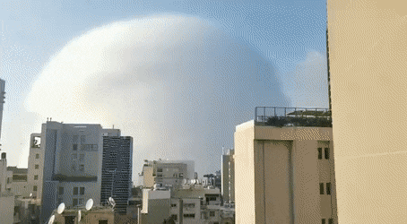 https://i.postimg.cc/pTT1vpgr/Best-Envious-Admiralbutterfly-size-restricted.gif