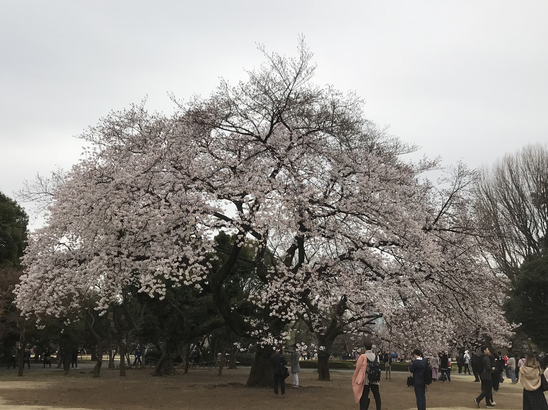 A57ADE98-F731-491F-8F62-9739E98CBD94