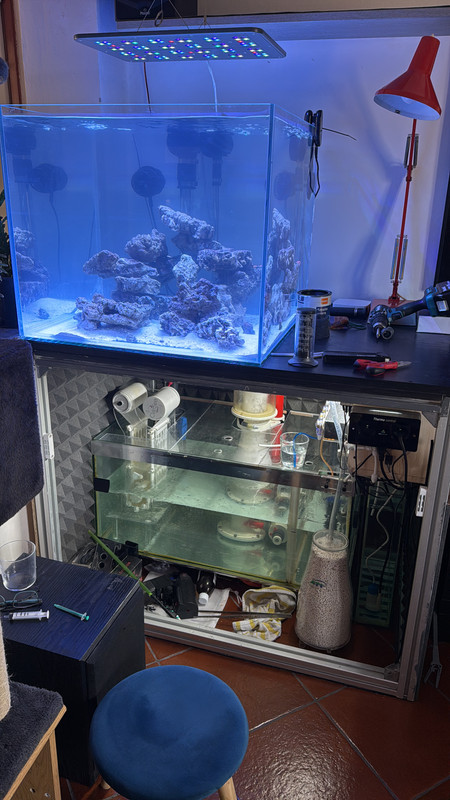 677BDA4E-A5C3-496E-9402-E3B92D29216E