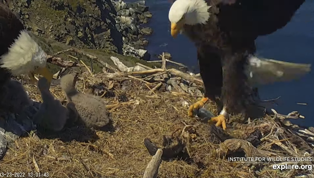 0F99FE23-B571-41AE-81D2-9183C744C0EF