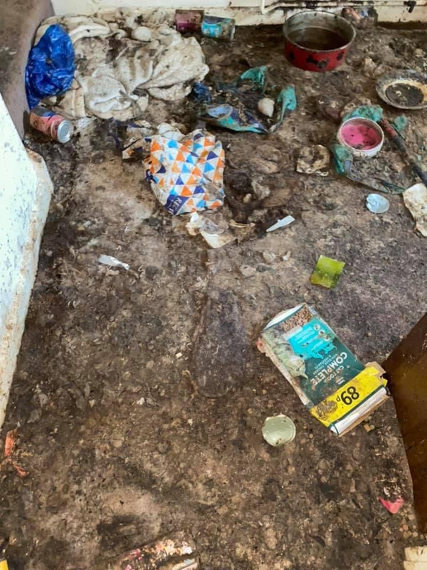 40274041-433C-408F-811C-69AD0A9AFCFA